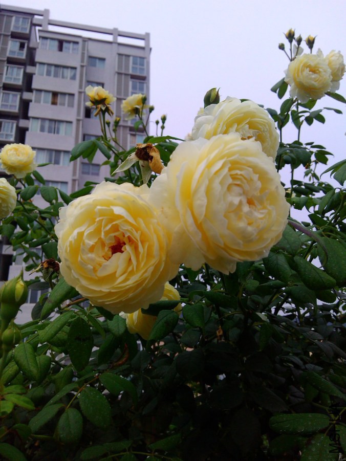 220812jigaag3kkk8358av.jpg