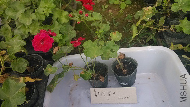  õ�촹����