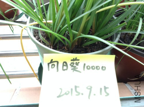 ��Ƭ 1250.jpg