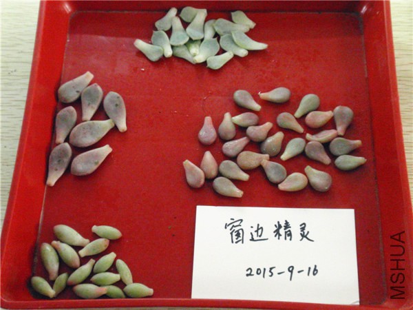 P9160004.JPG