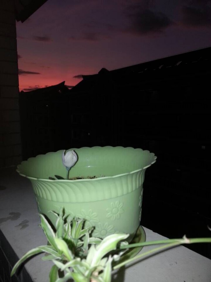 QQͼƬ20150712095337.jpg