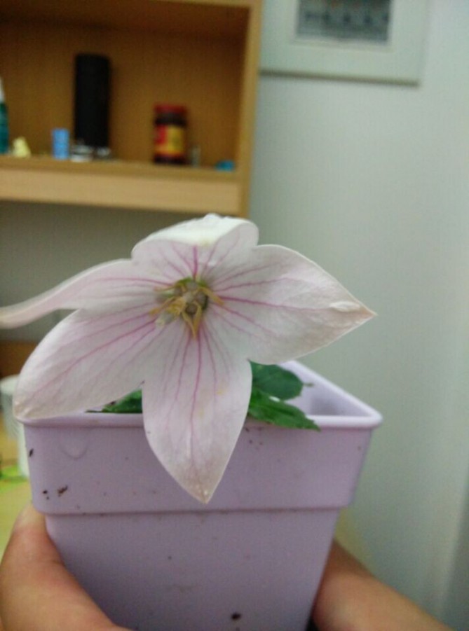 QQͼƬ20150724212104.jpg