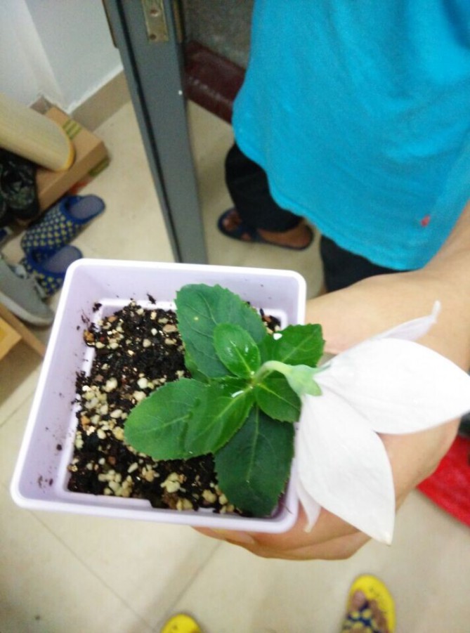 QQͼƬ20150724212055.jpg
