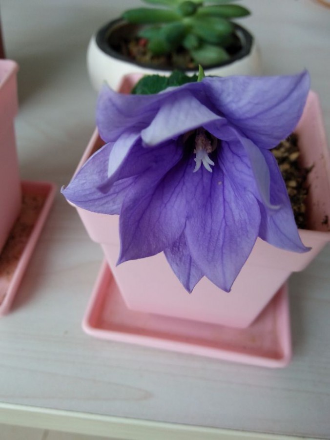 QQͼƬ20150724124549.jpg