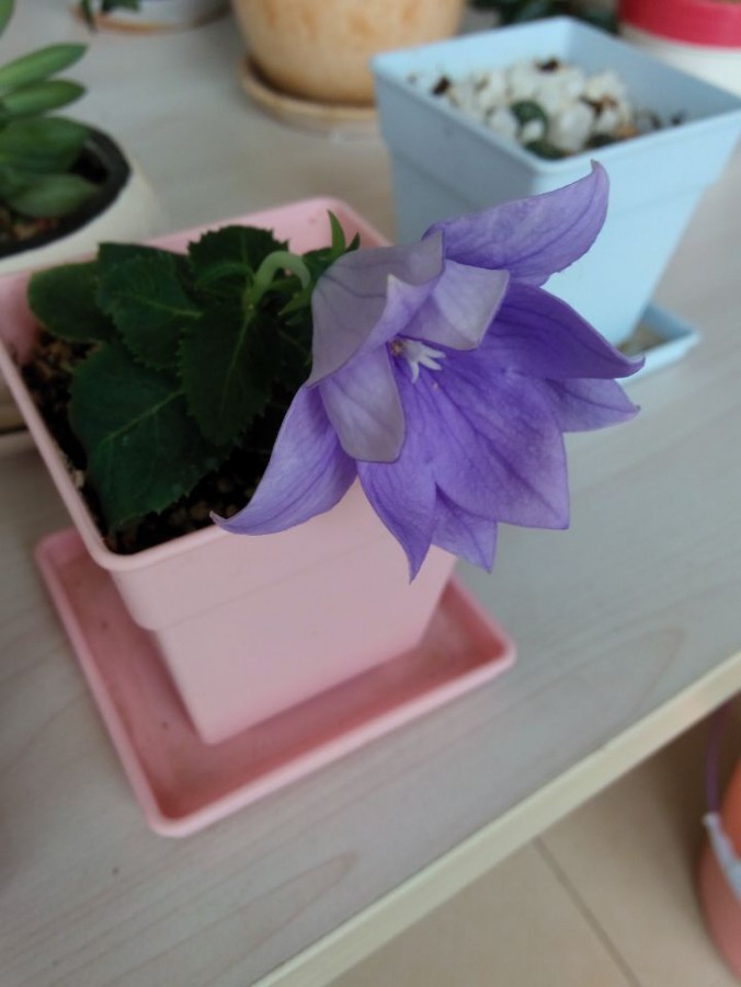 QQͼƬ20150724124554.jpg