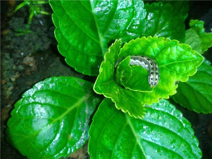 2015-09-15 19.20.29.jpg