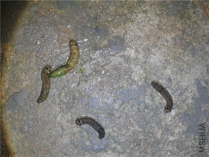 2015-09-15 19.29.20.jpg