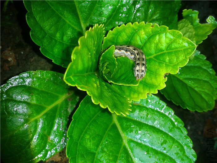 2015-09-15 19.20.24.jpg