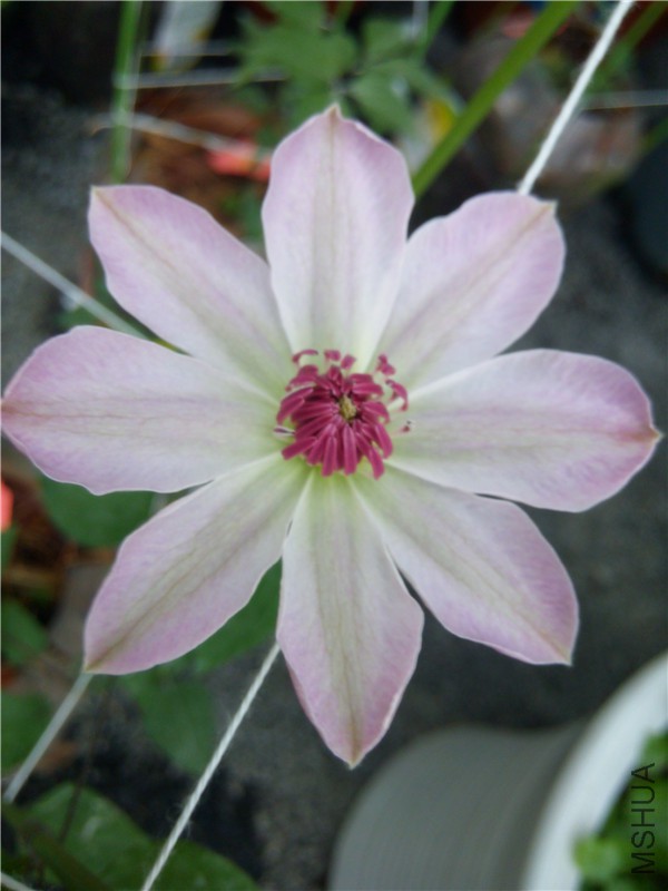 20150326075715.jpg