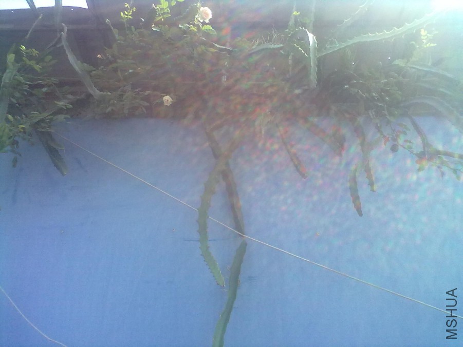 20140805648.jpg