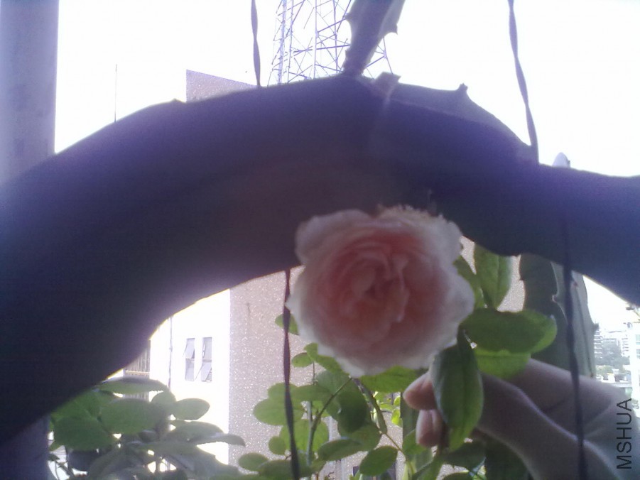 20140805649.jpg