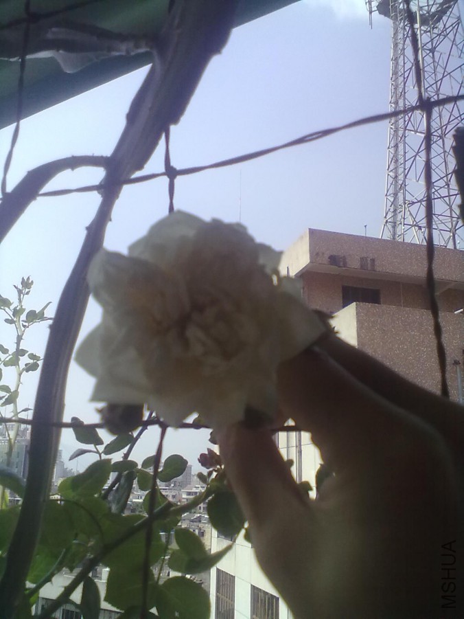 20140805650.jpg