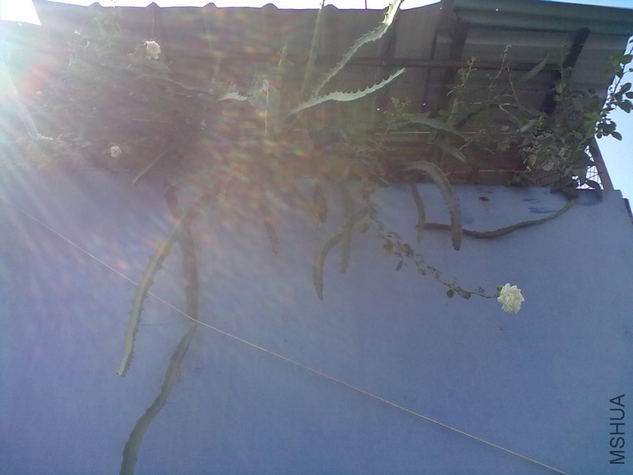 20140805644.jpg