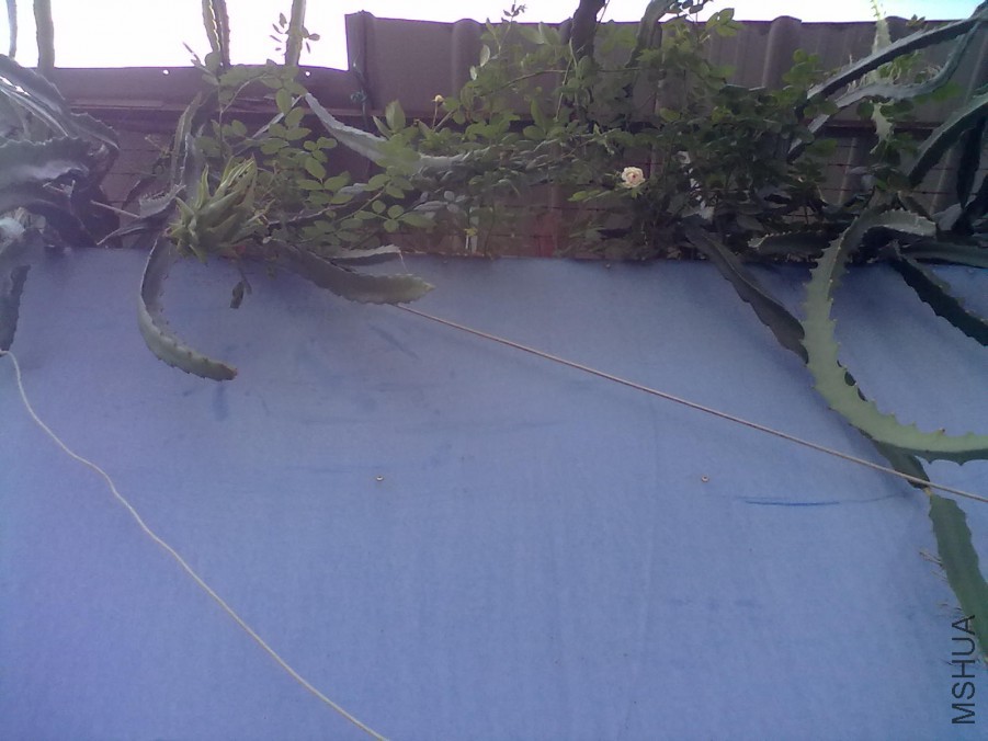 20140805646.jpg