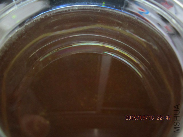 IMG_1193.JPG