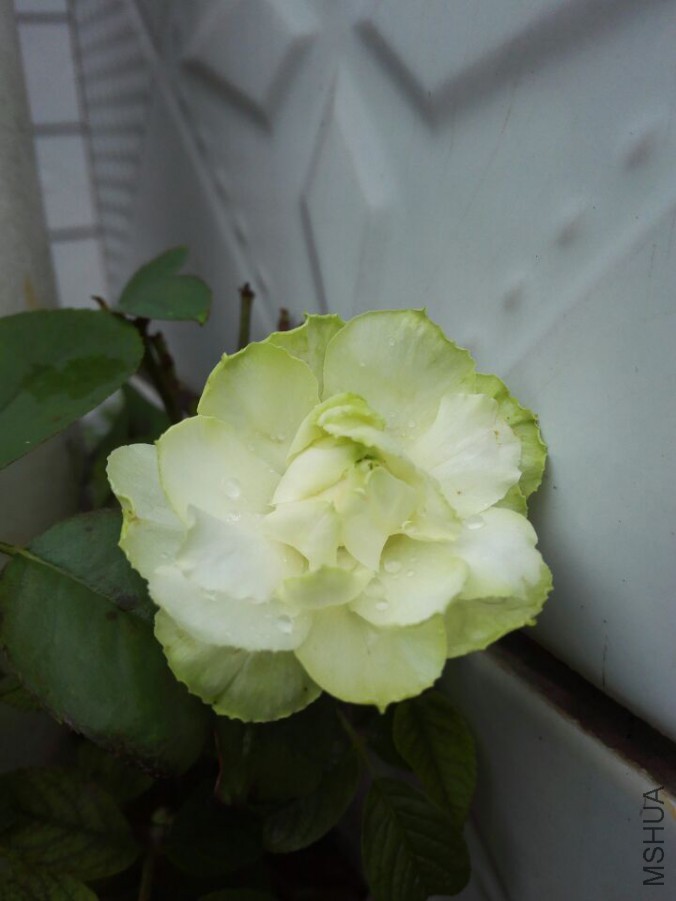 QQͼƬ20150915151033.jpg