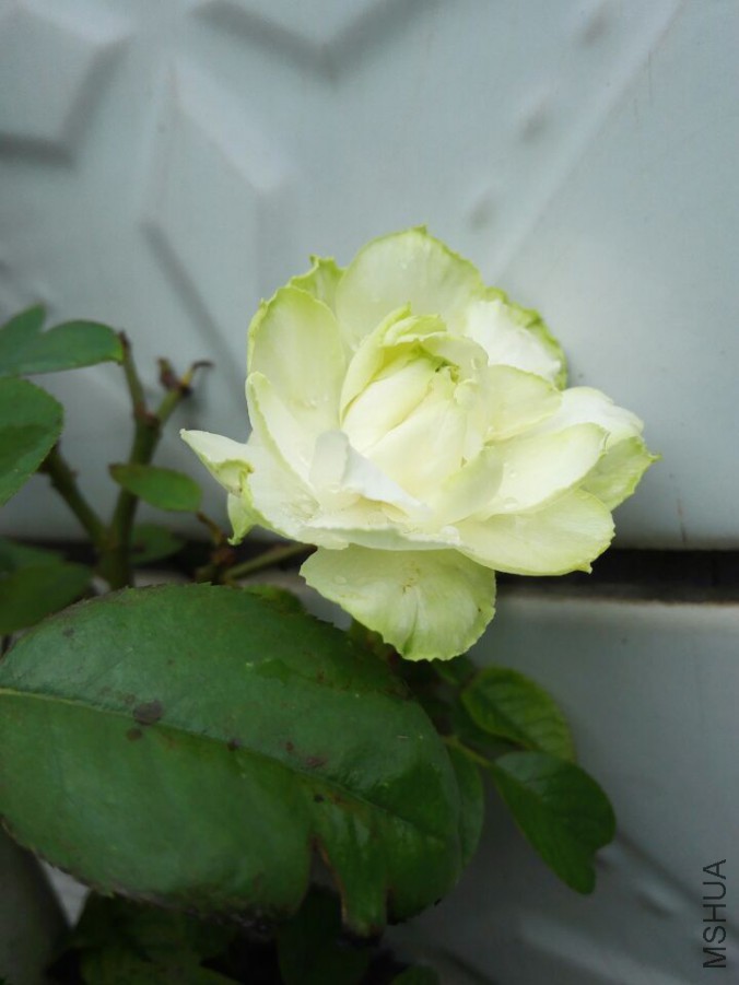 QQͼƬ20150915151039.jpg
