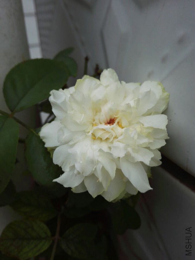 QQͼƬ20150916172240.jpg