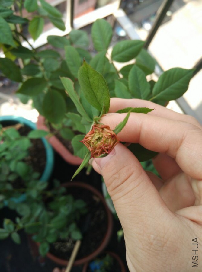 QQͼƬ20150917113840.jpg