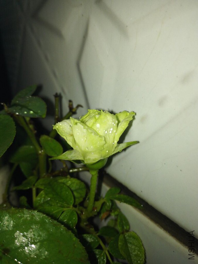 QQͼƬ20150917124145.jpg