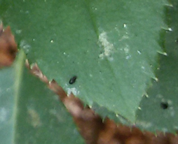 QQͼƬ20150917145937.jpg