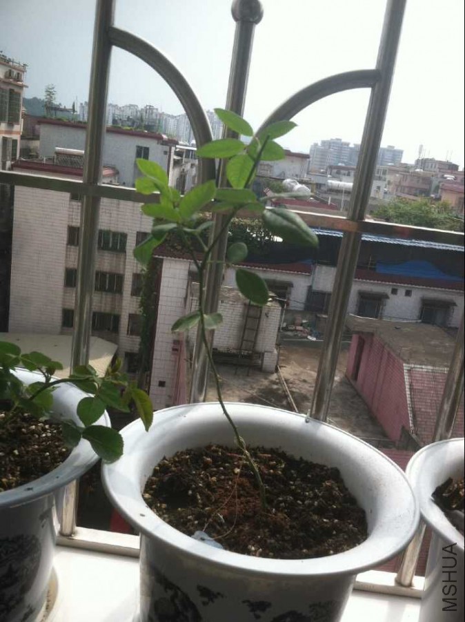 QQͼƬ20150917151050.jpg