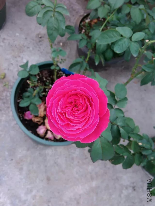psb (27).jpg
