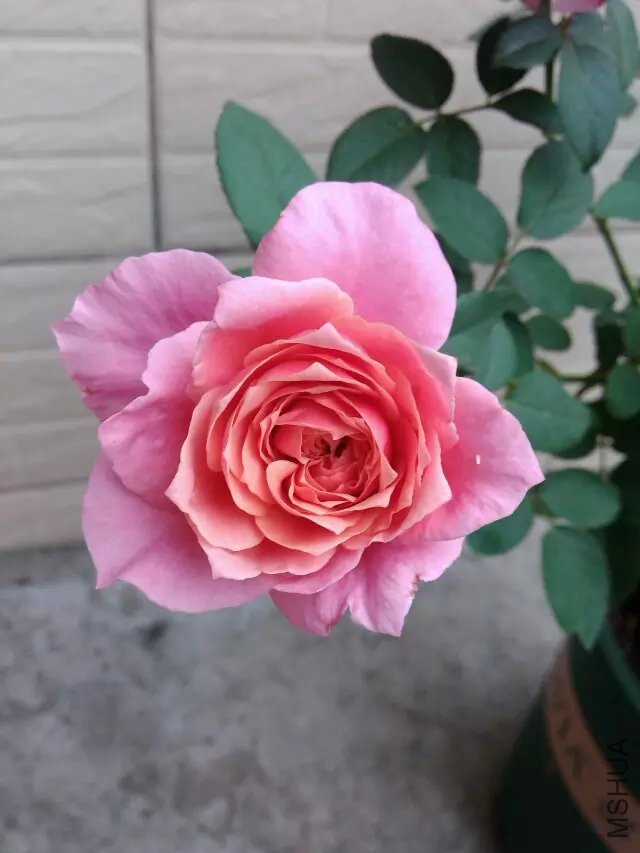 psb (70).jpg