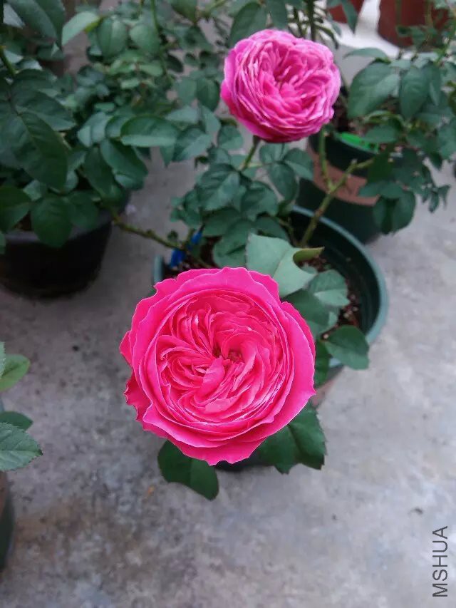 psb (81).jpg