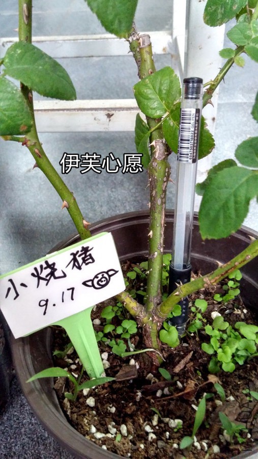 20150917_163720_HDR.jpg