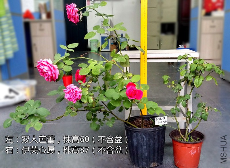 20150917_163646_HDR.jpg