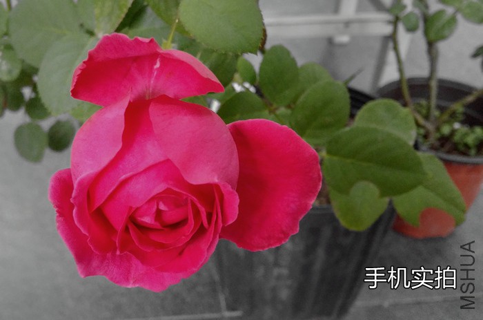 20150917_163824_HDR.jpg