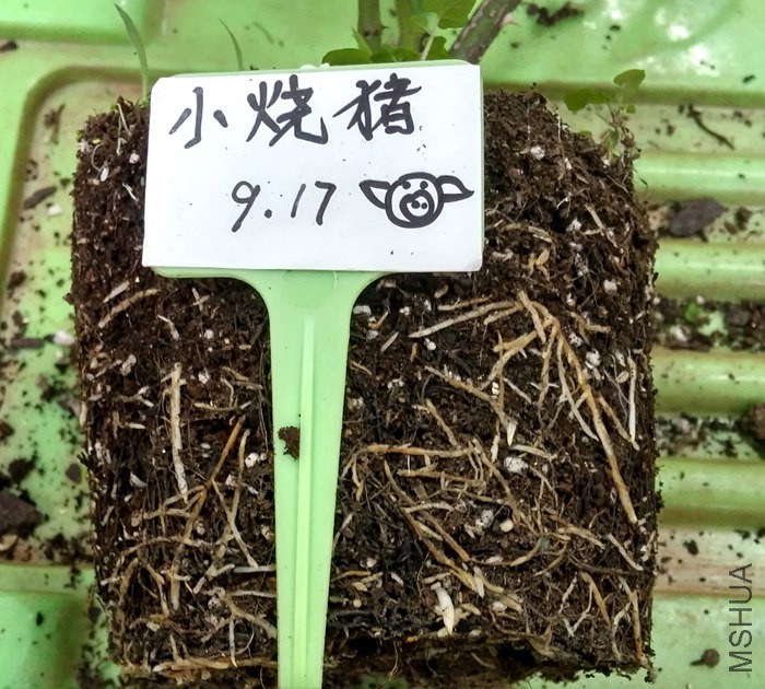 20150917_163951_HDR.jpg