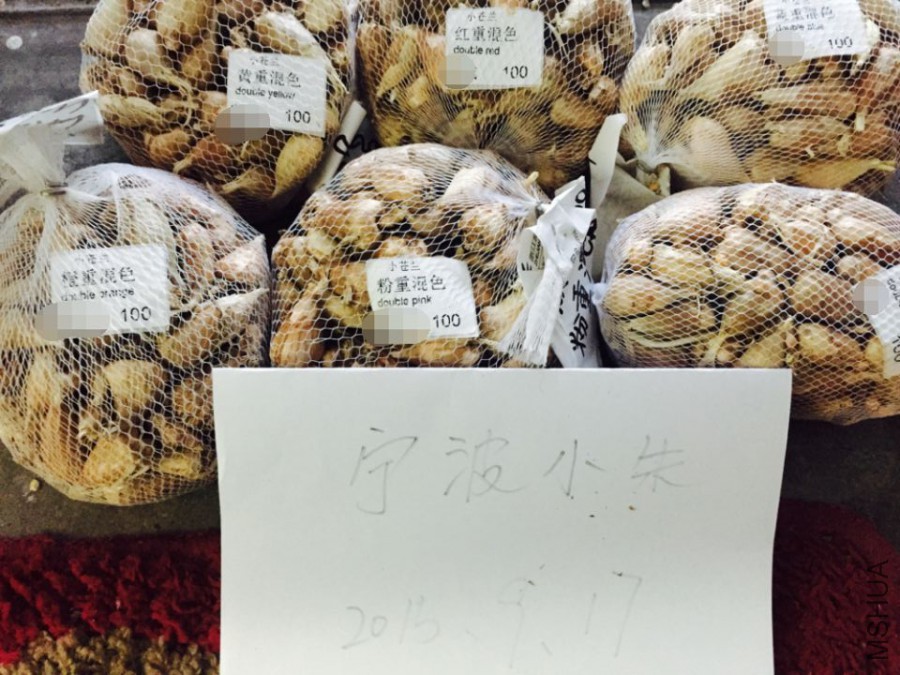 QQͼƬ20150917212601.jpg