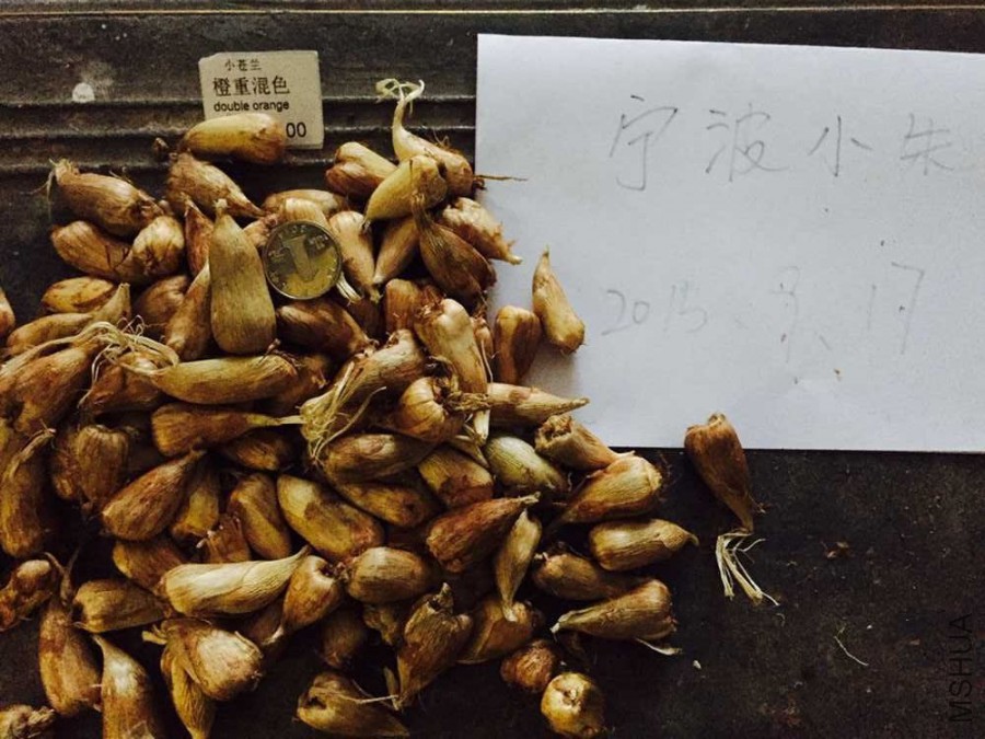 QQͼƬ20150917212550.jpg