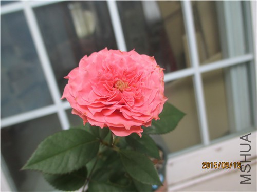 IMG_6645.JPG