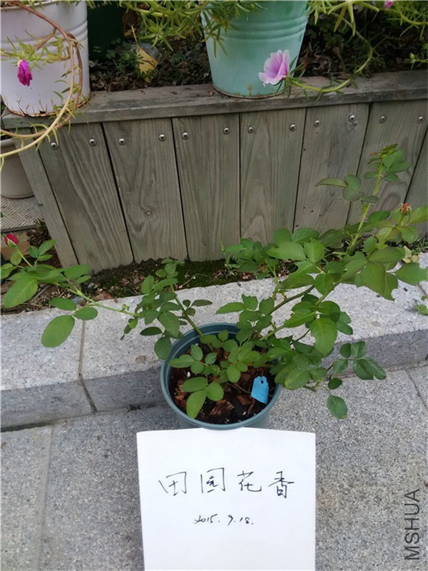 ����֮��22Ԫ