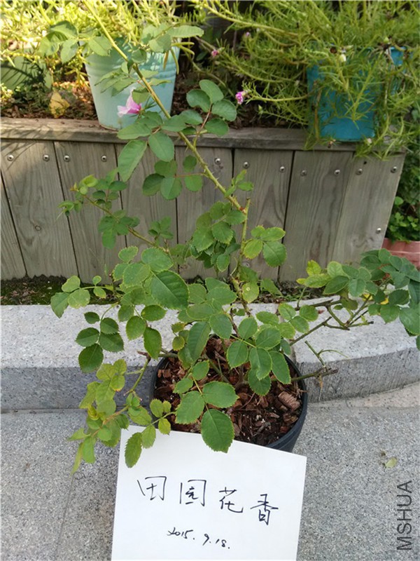 ����۾�28Ԫ������룩