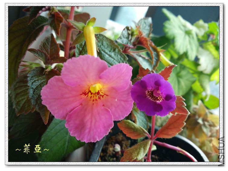 QQͼƬ20150918101521.jpg