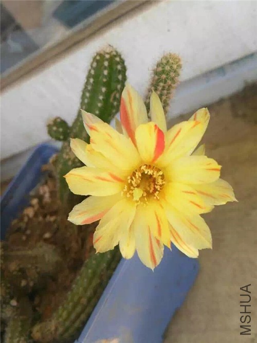 2010 001.jpg