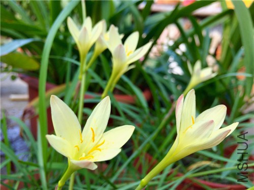 2010 002.jpg