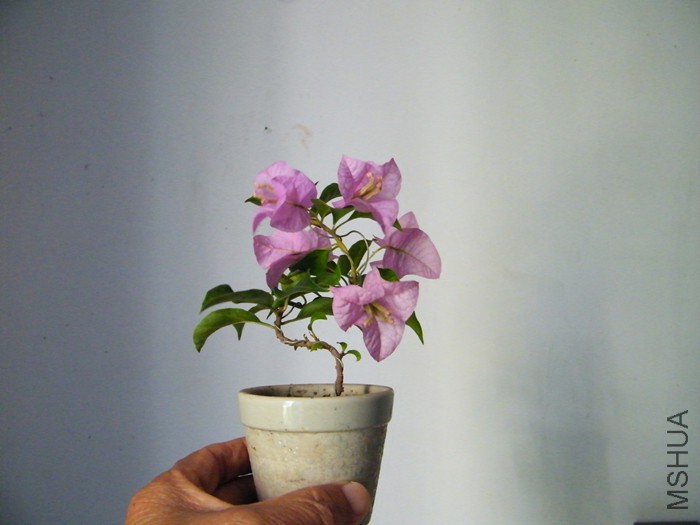 09 16 001.jpg