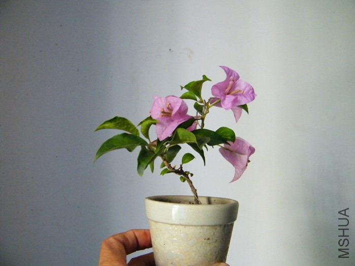 09 16 002.jpg