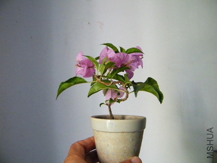 09 16 003.jpg