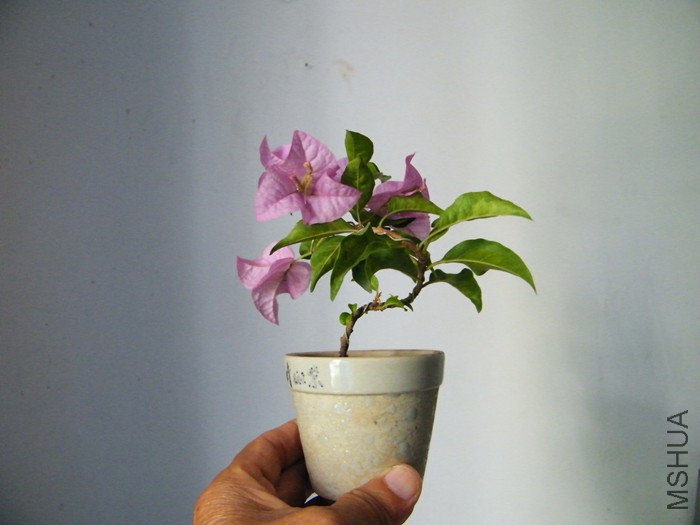 09 16 004.jpg
