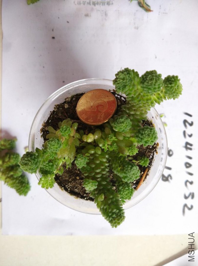ʮ��