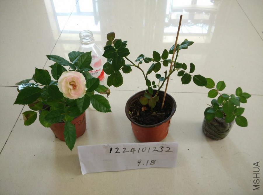 ʮ��.1