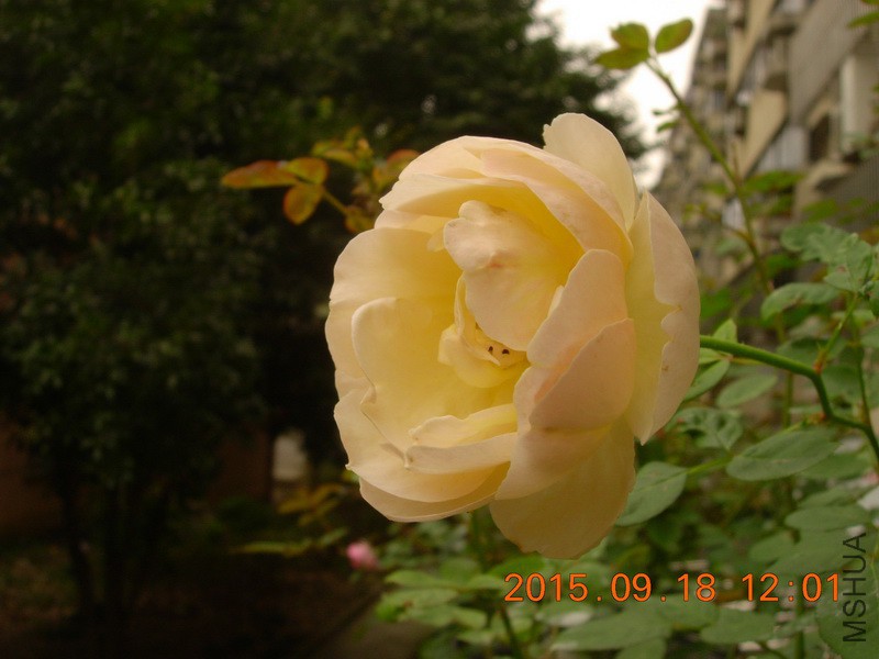 DSCN0758_resize.JPG