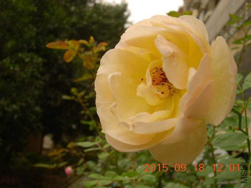 DSCN0752_resize.JPG