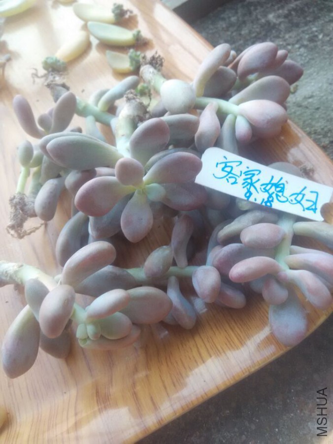 QQͼƬ20150918182515.jpg
